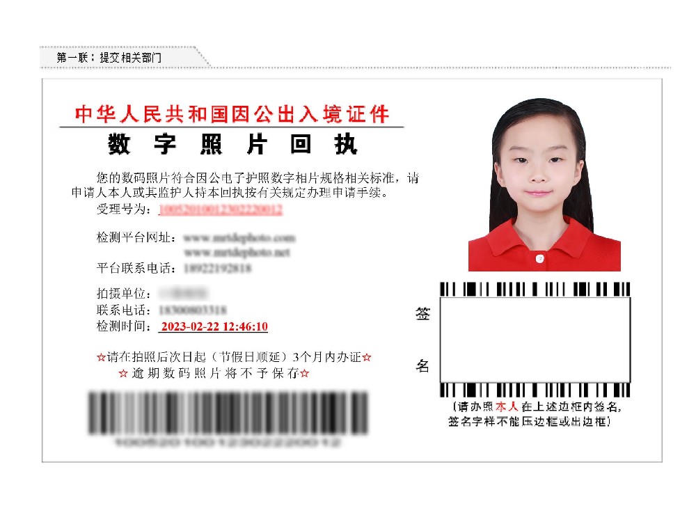 因公护照照片回执网上办理流程与攻略